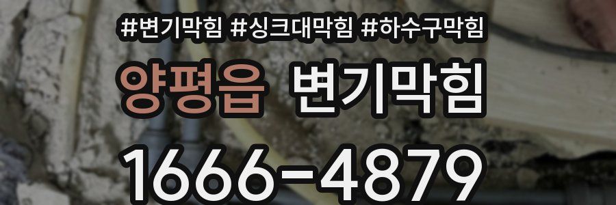 변기막힘