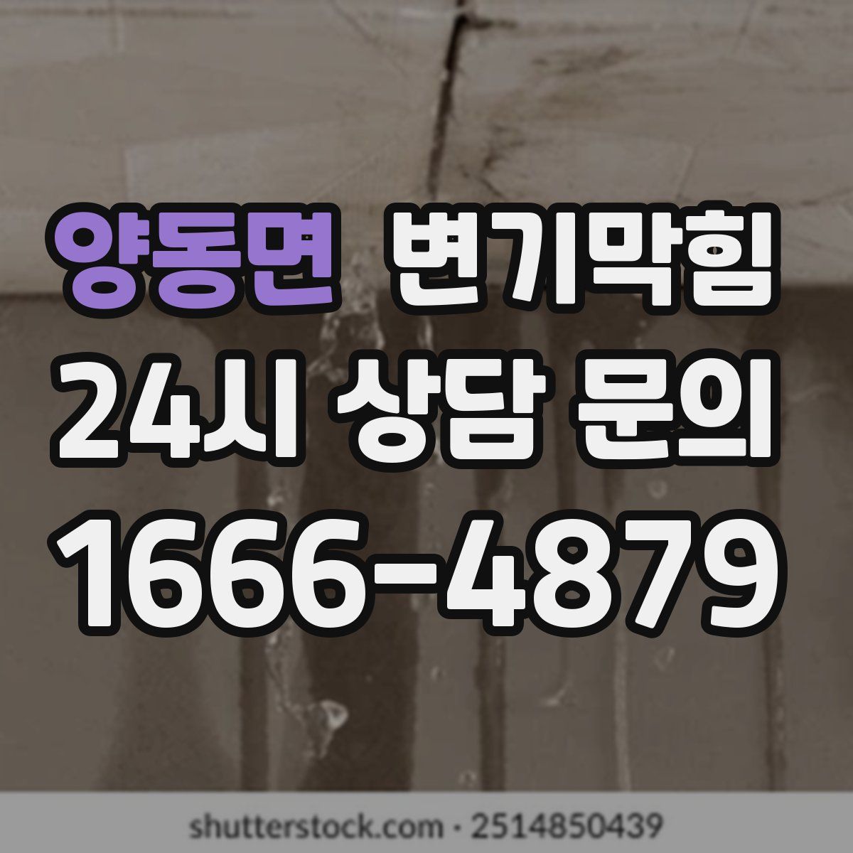 양동면 변기막힘