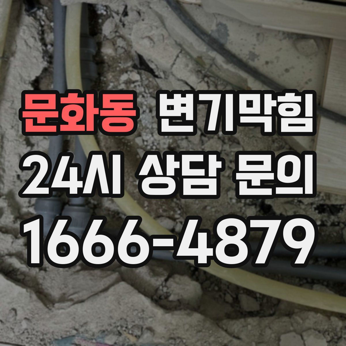 문화동 변기막힘