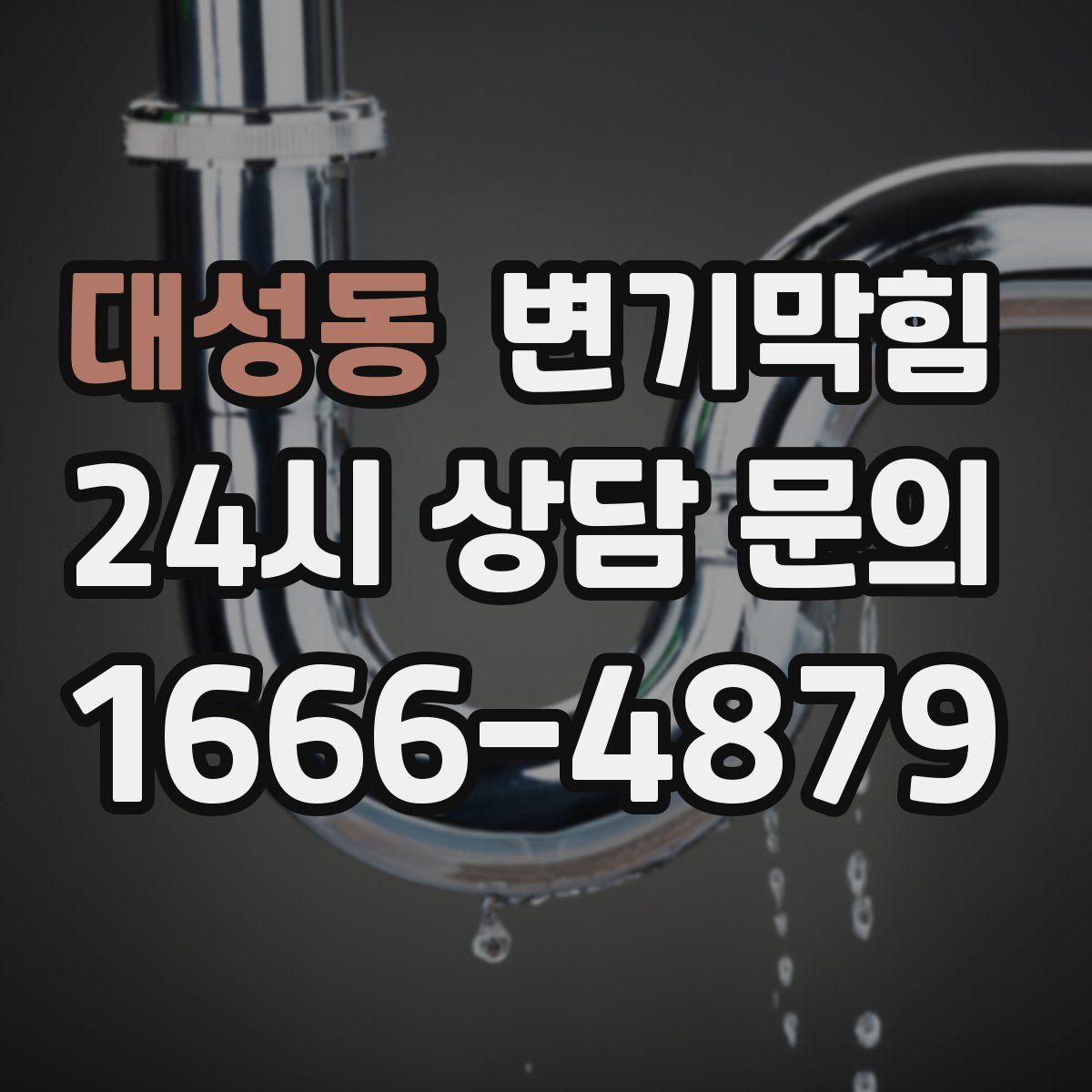 대성동 변기막힘