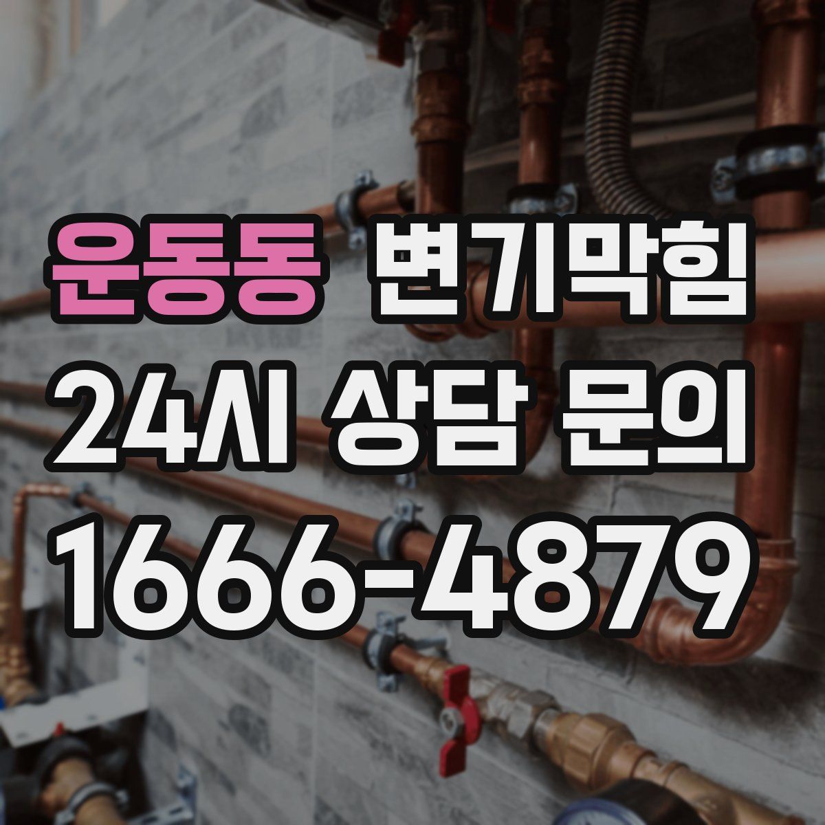 운동동 변기막힘