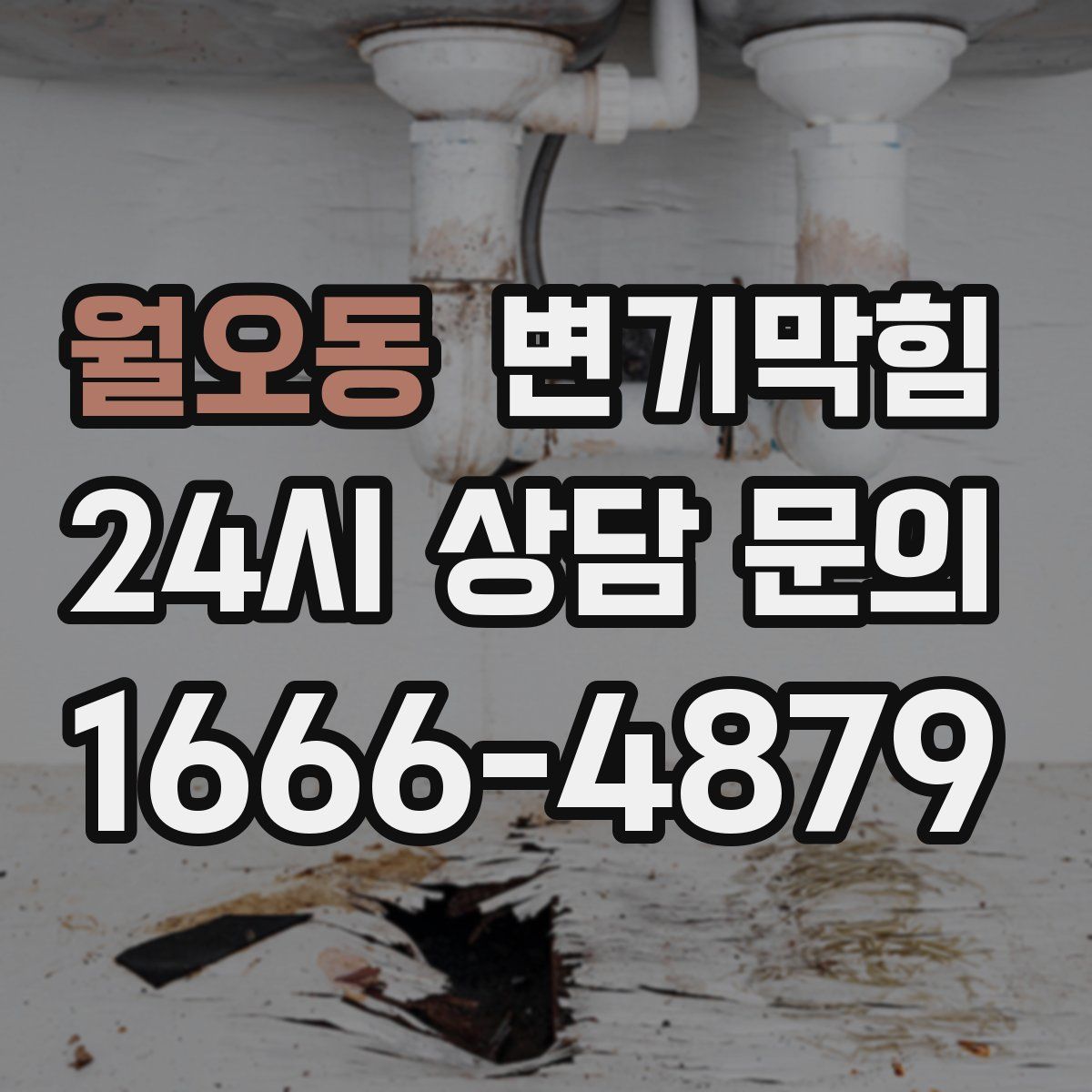 월오동 변기막힘