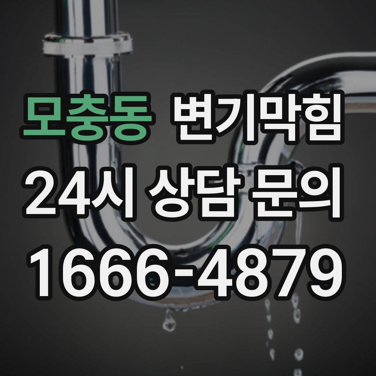 모충동 변기막힘