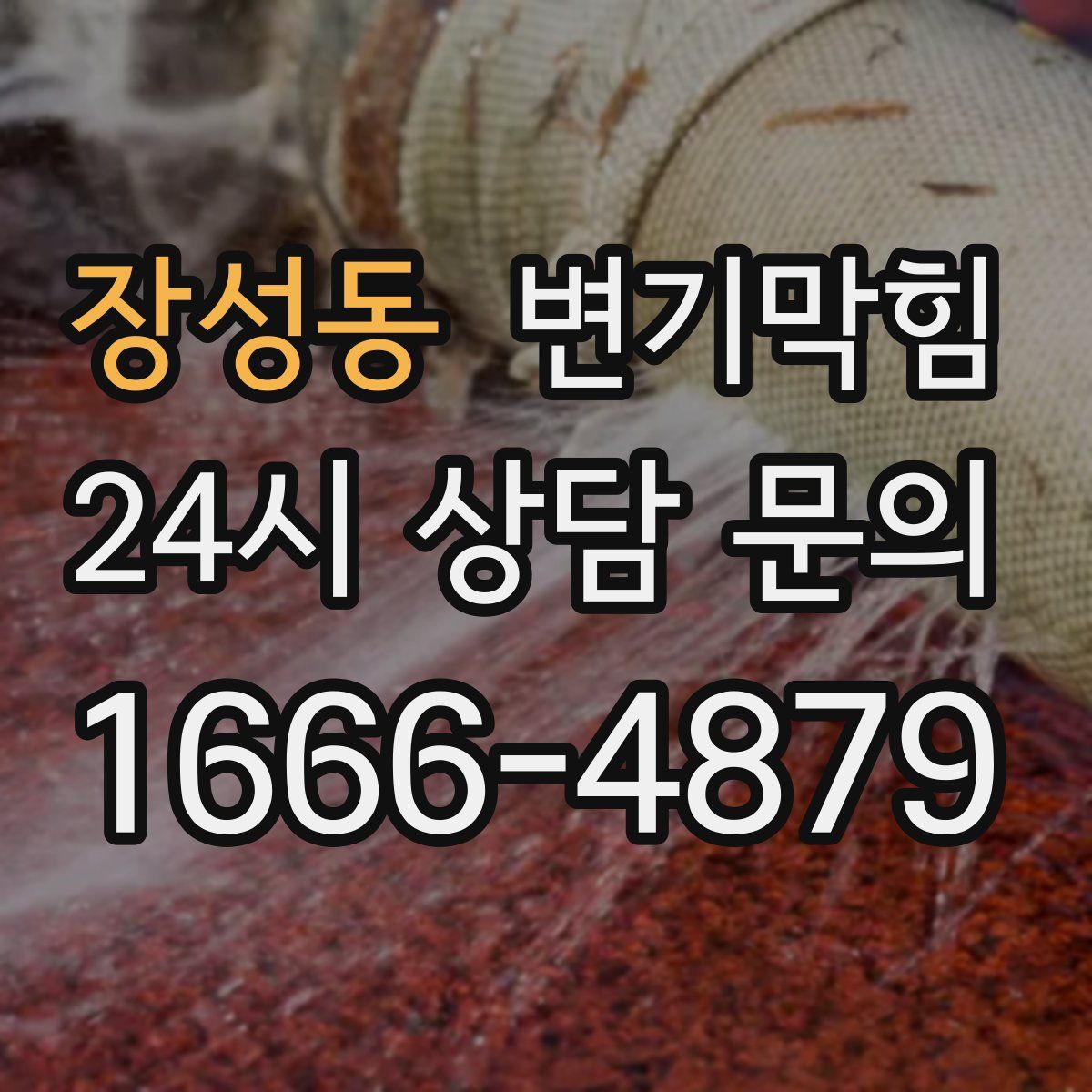 장성동 변기막힘