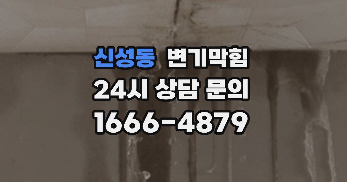 신성동 변기
