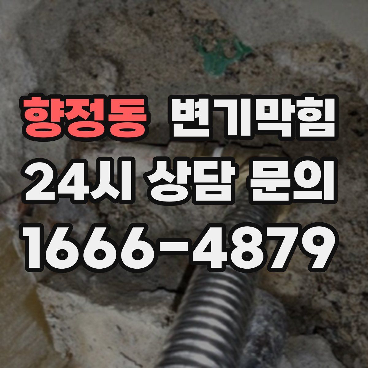 향정동 변기막힘