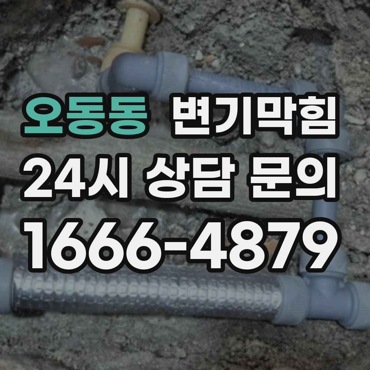 오동동 변기막힘