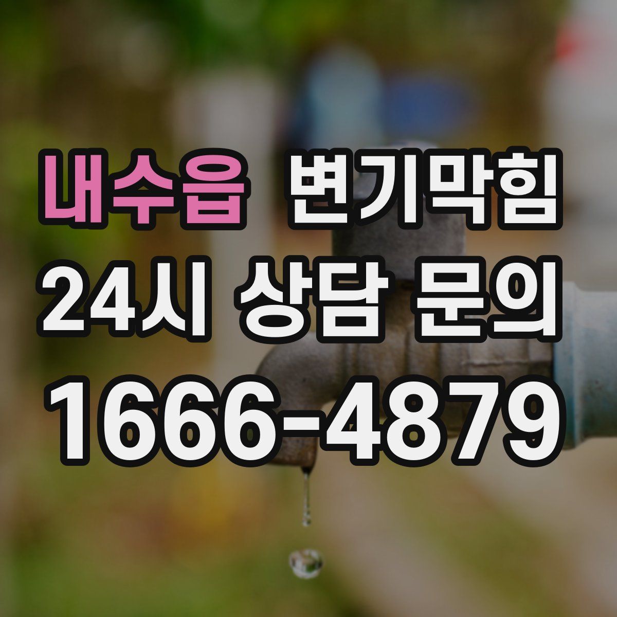 내수읍 변기막힘