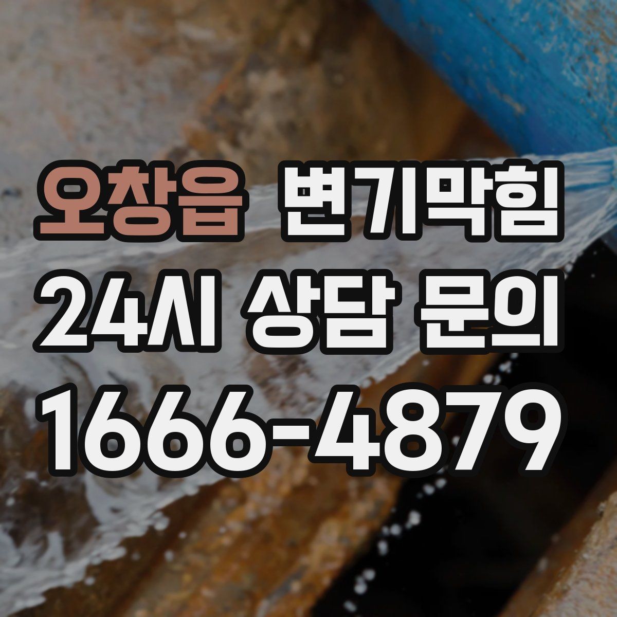 오창읍 변기막힘 화장실 변기 막힘 공용 라인 의심 상황