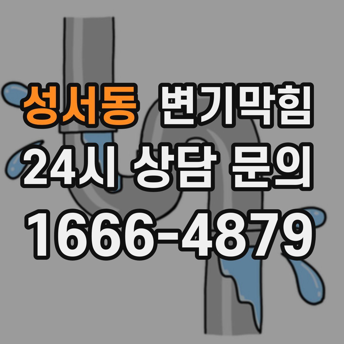 성서동 변기막힘