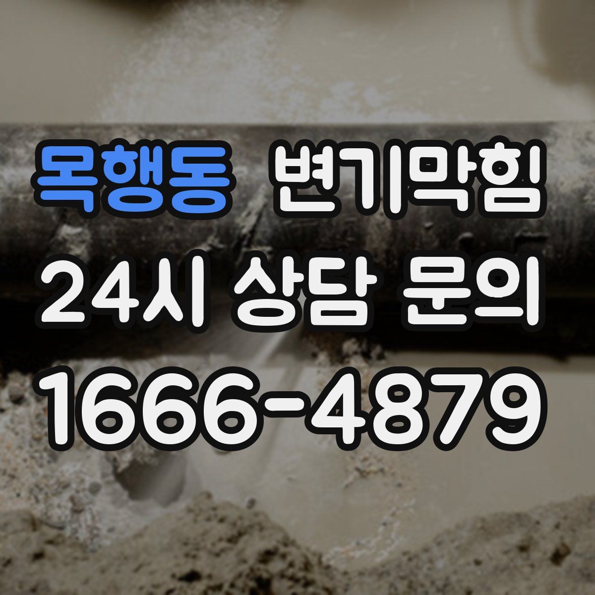 목행동 변기막힘