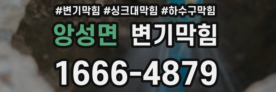 변기막힘