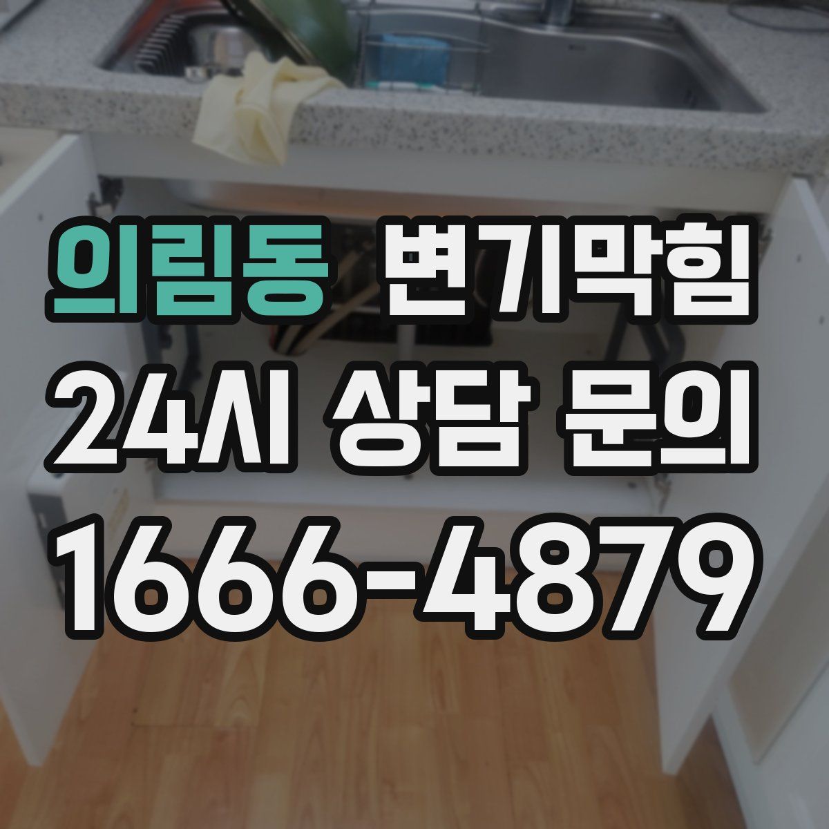 의림동 변기막힘