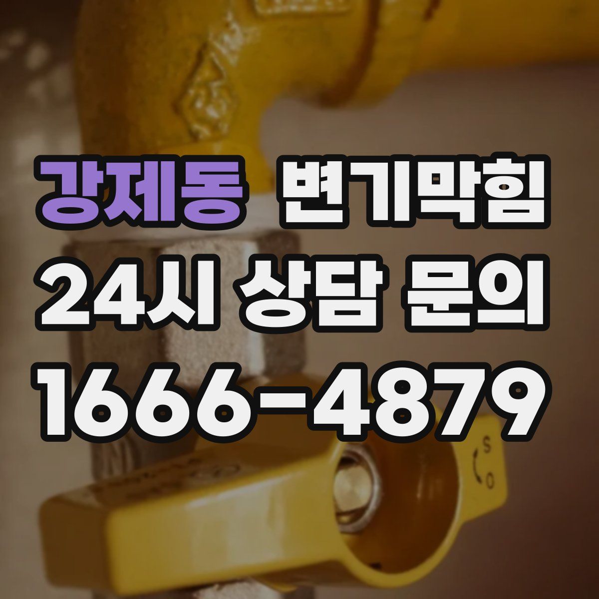 강제동 변기막힘