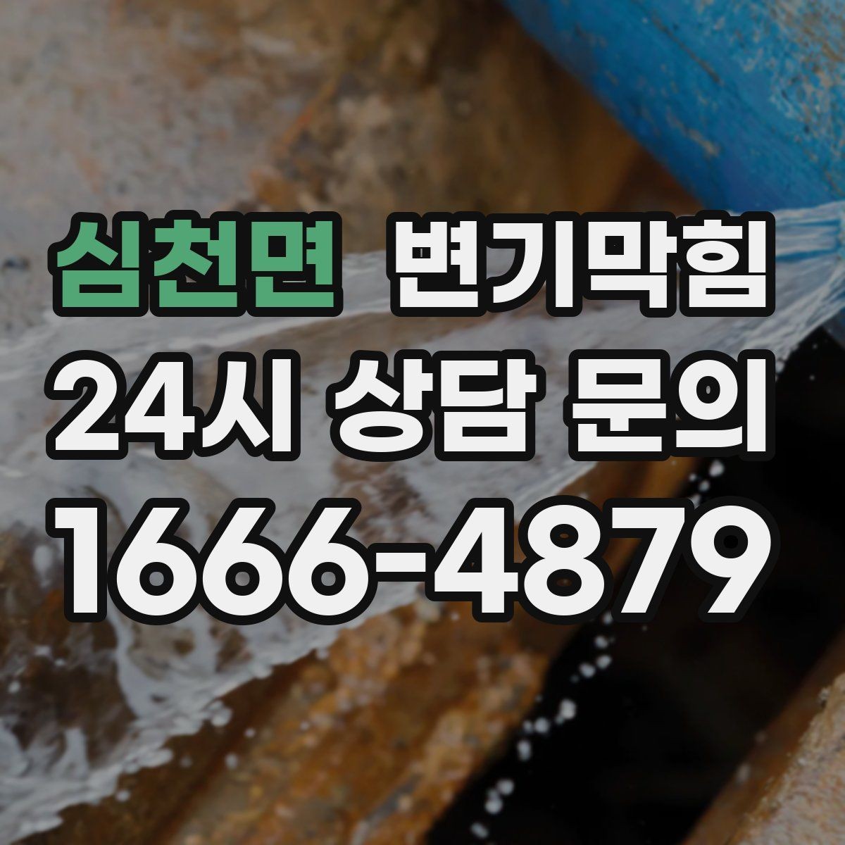 심천면 변기막힘 카페 화장실역류 저녁 손님 전 마감