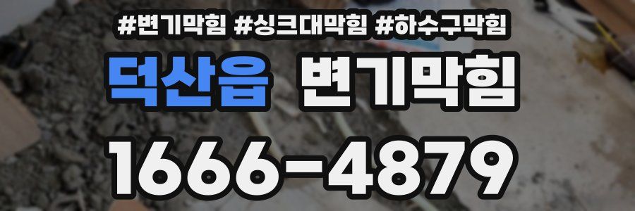 변기막힘