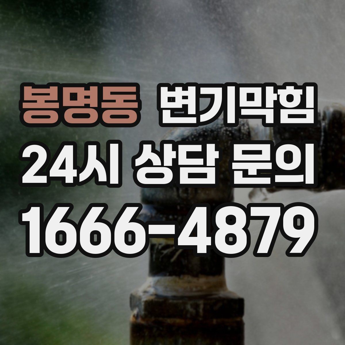 봉명동 변기막힘 상가 배수구막힘 점심 피크 전 완료