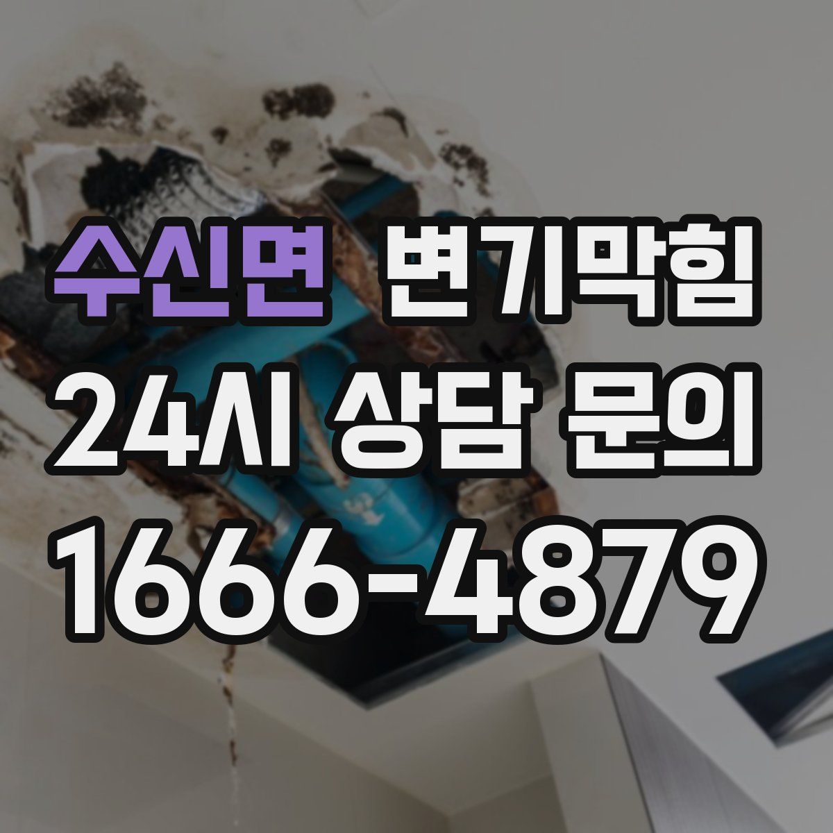 수신면 변기막힘