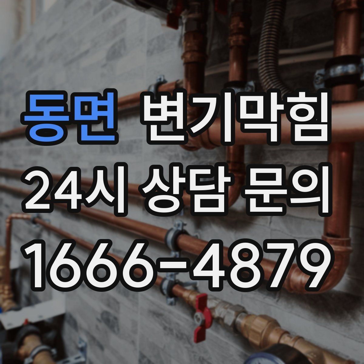 동면 변기막힘 카페 화장실뚫기 전후 사진 공개
