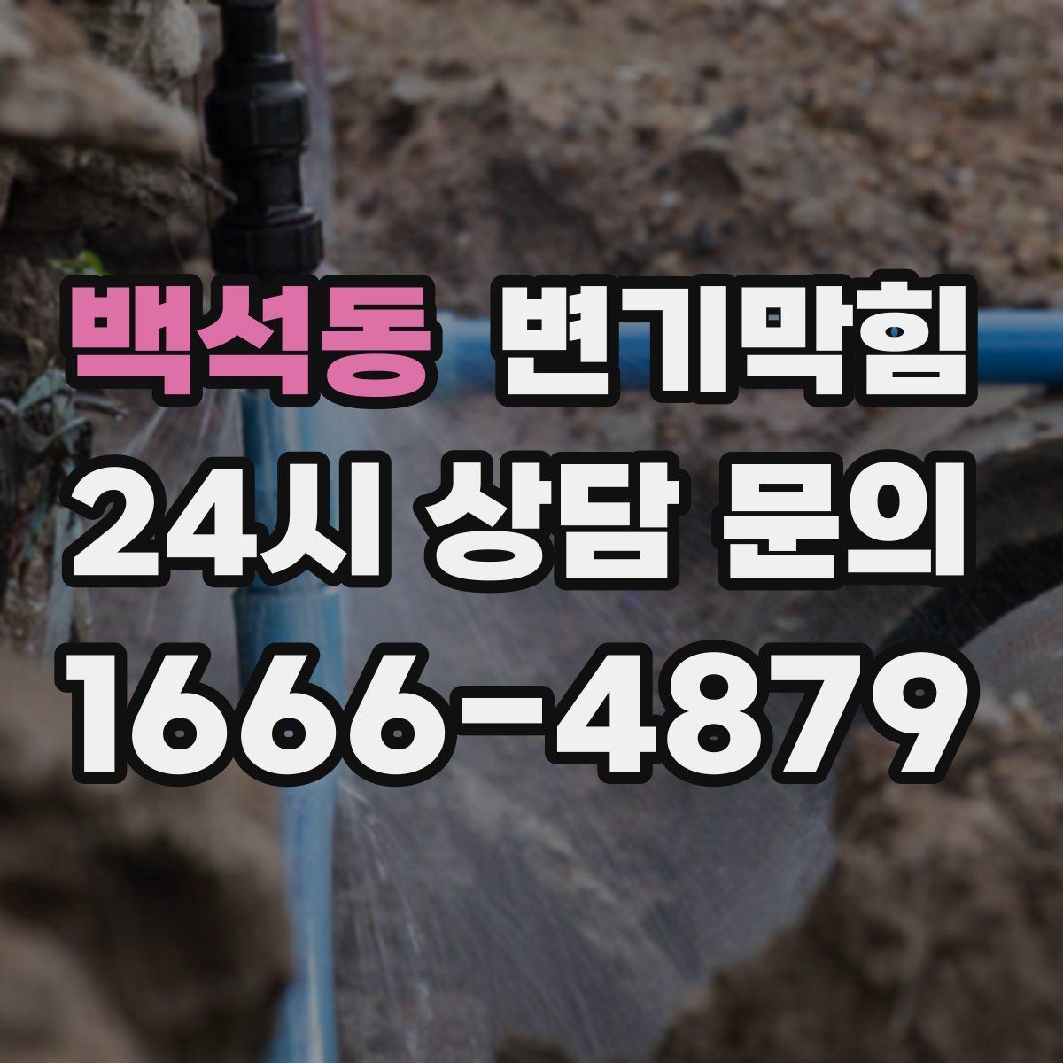 백석동 변기막힘 사무실 화장실뚫기 회의실 앞 민원 해소