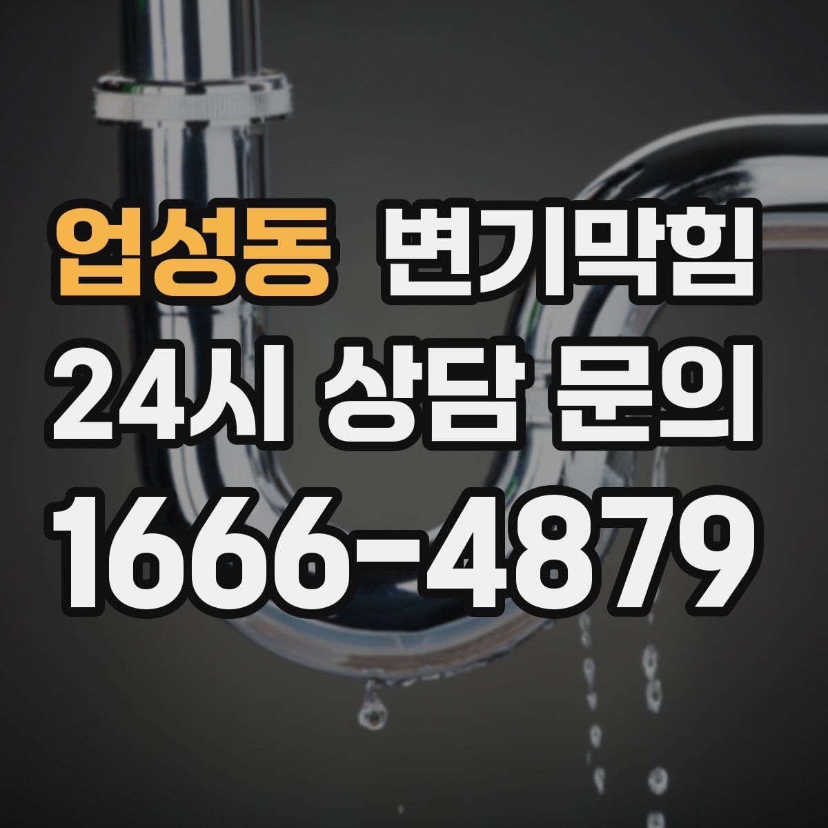 업성동 변기막힘