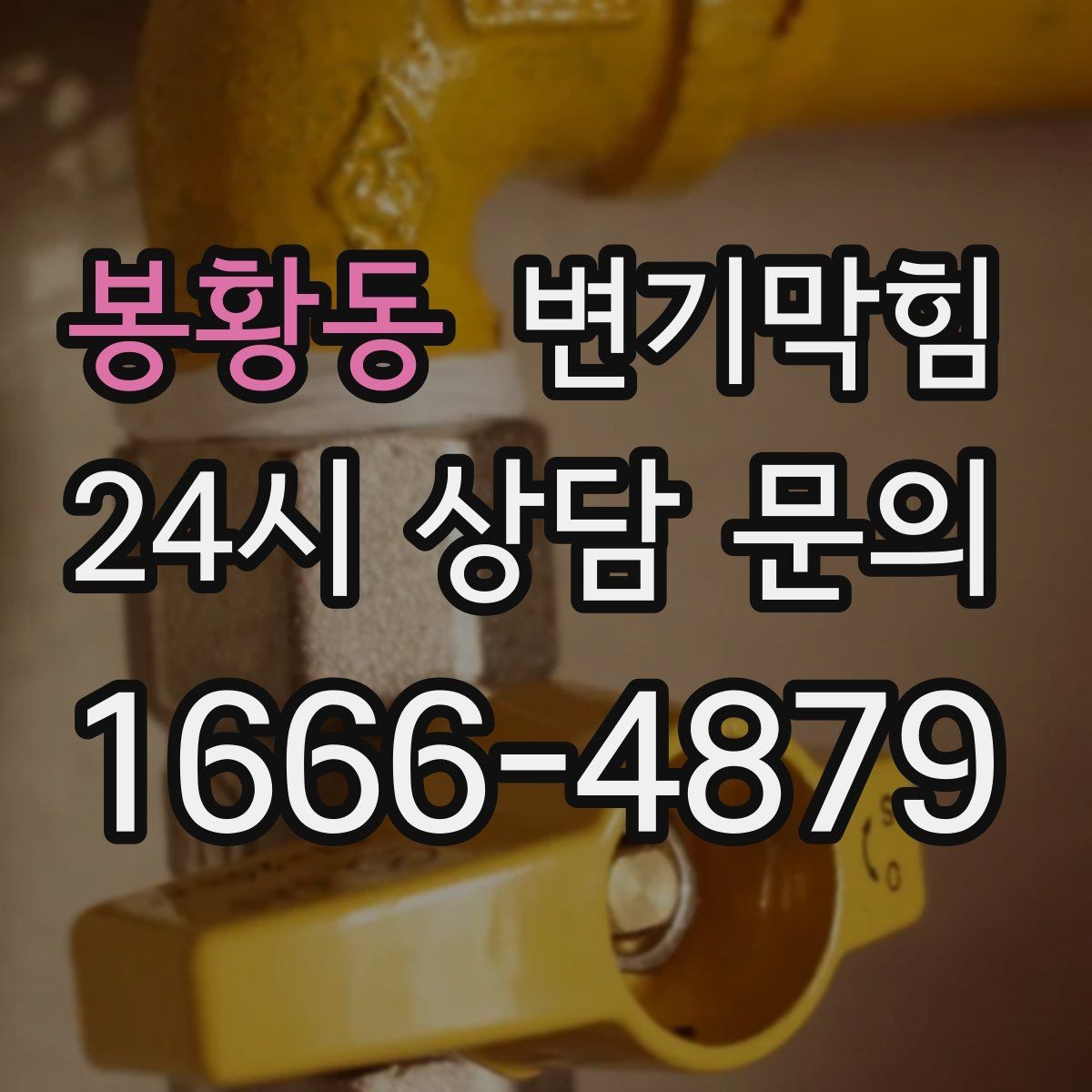 봉황동 변기막힘 아파트 화장실막힘 통기관 역류 해소