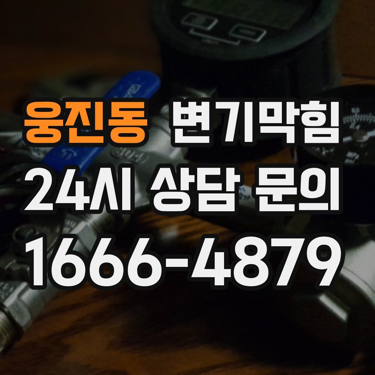 웅진동 변기막힘