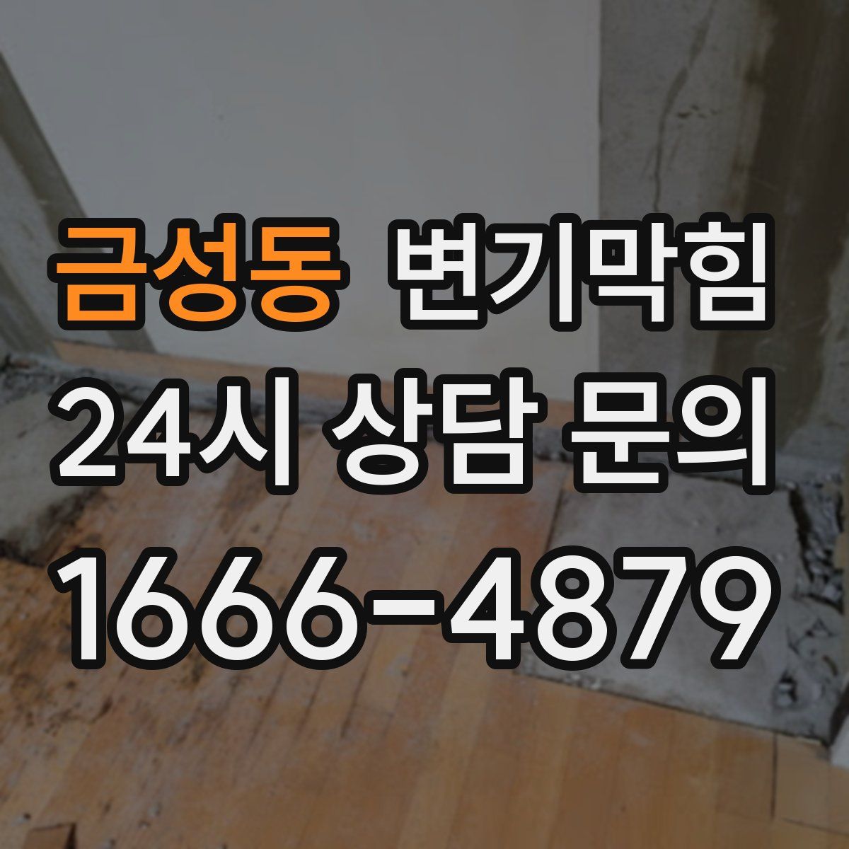 금성동 변기막힘