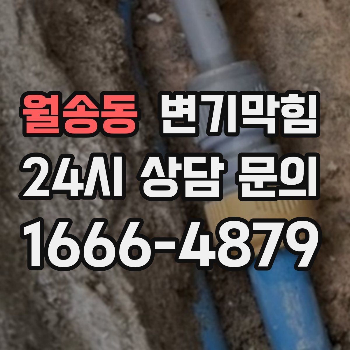 월송동 변기막힘 식당 화장실막힘 고형 이물 회수