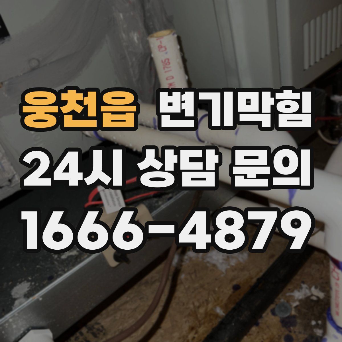 웅천읍 변기막힘