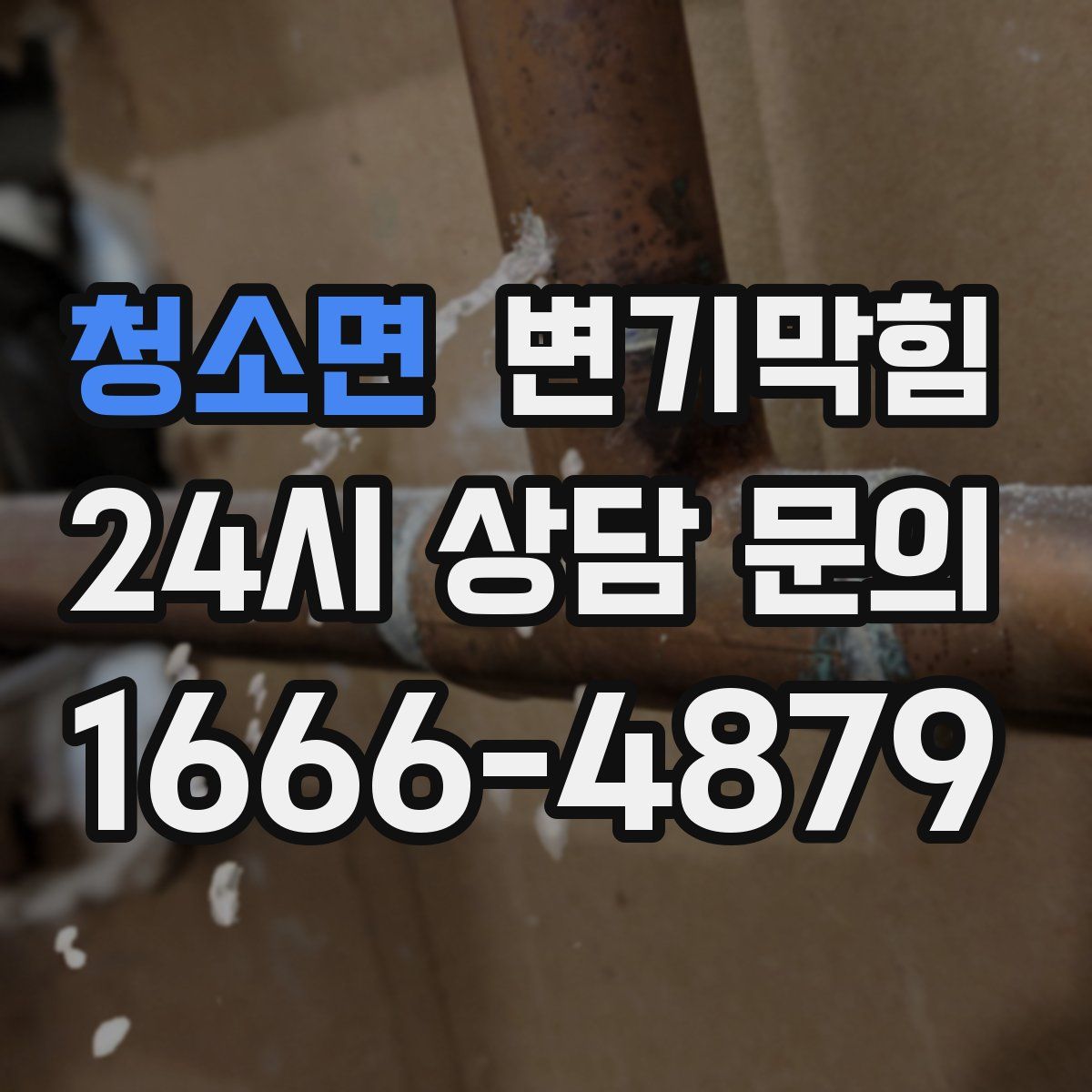 청소면 변기막힘