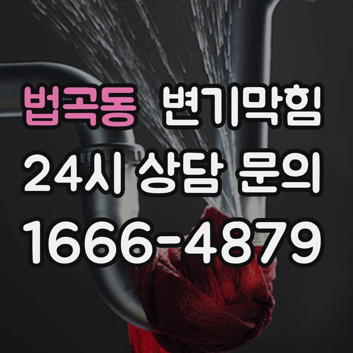 법곡동 변기막힘