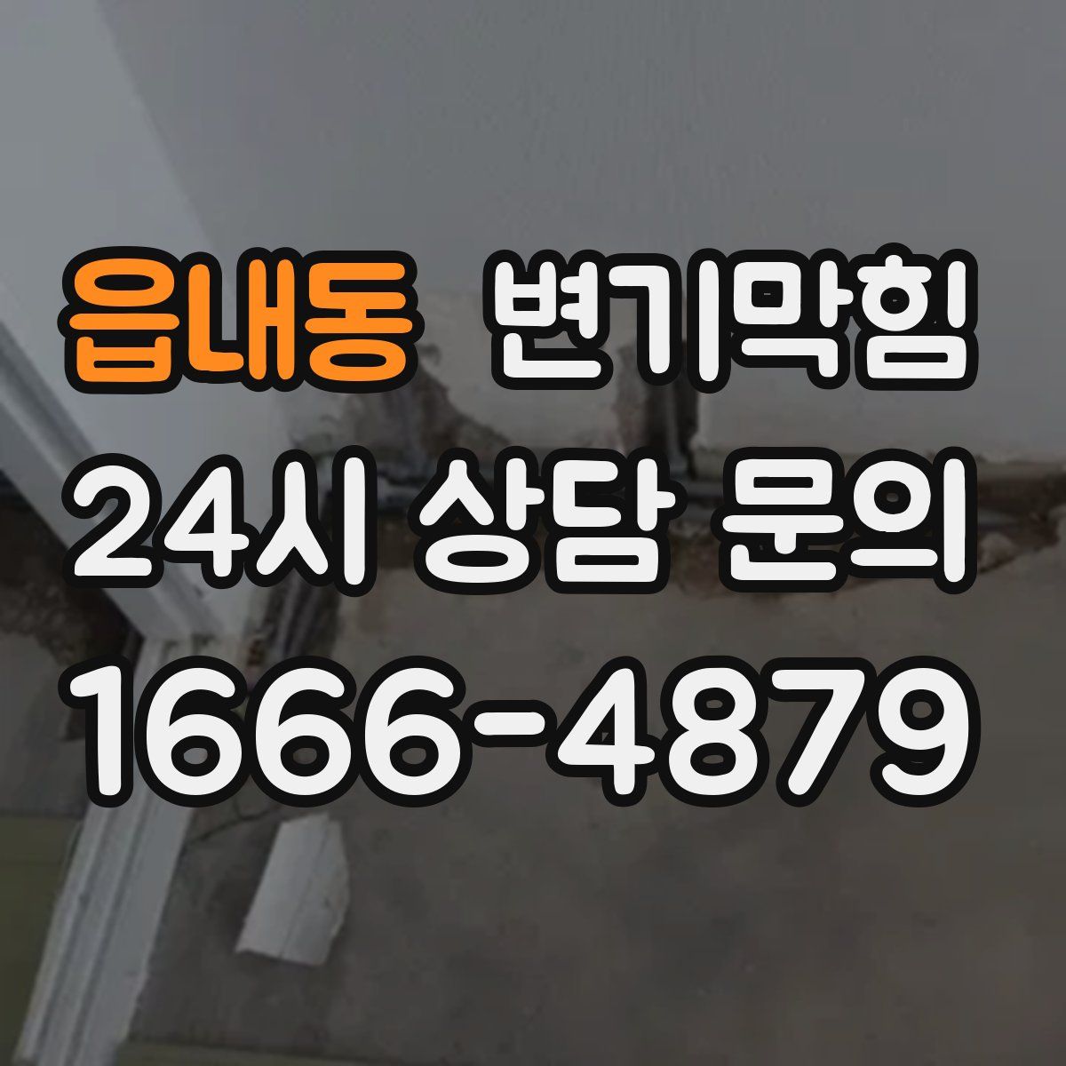 읍내동 변기막힘