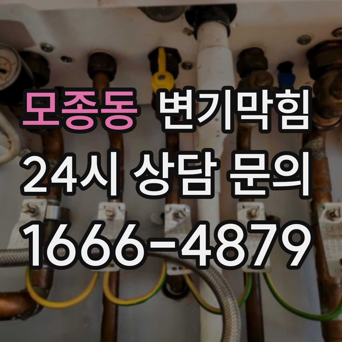 모종동 변기막힘