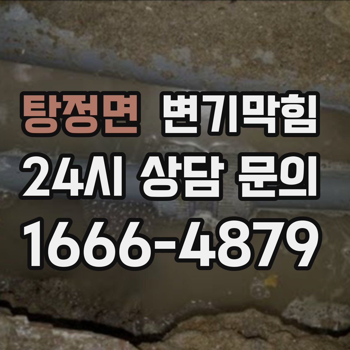 탕정면 변기막힘