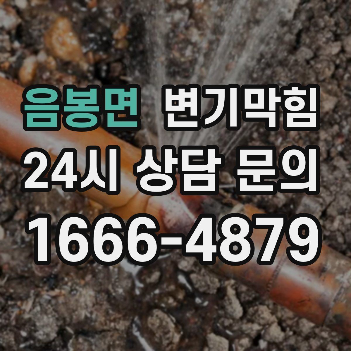 음봉면 변기막힘 빌라 절수형 버튼 반응 최적화