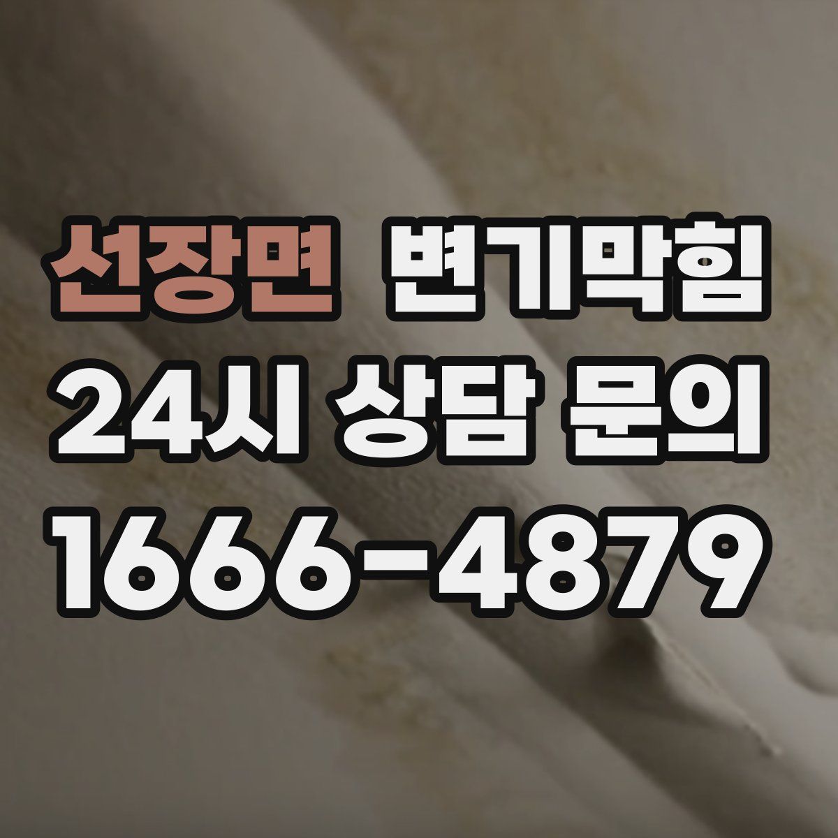 선장면 변기막힘