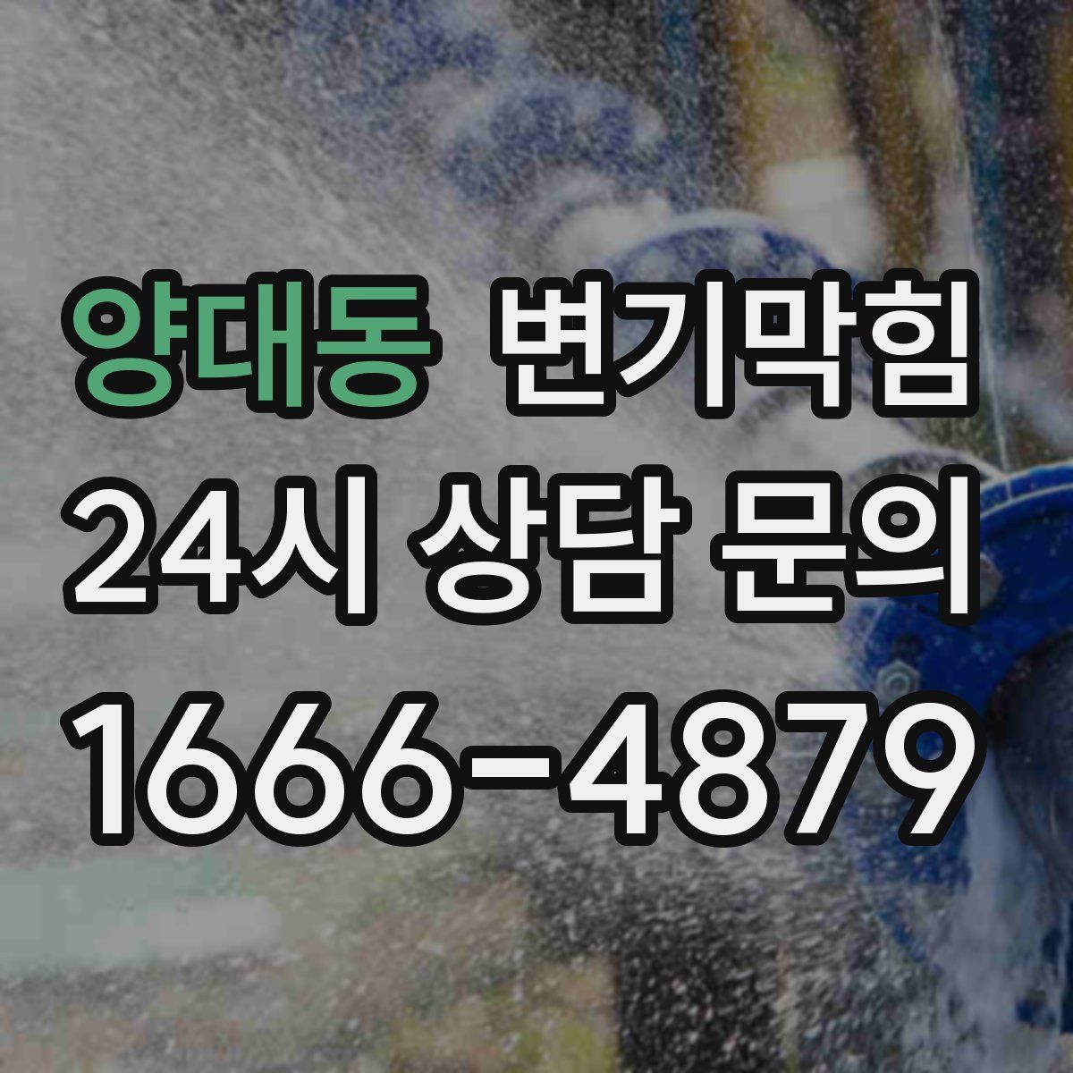 양대동 변기막힘
