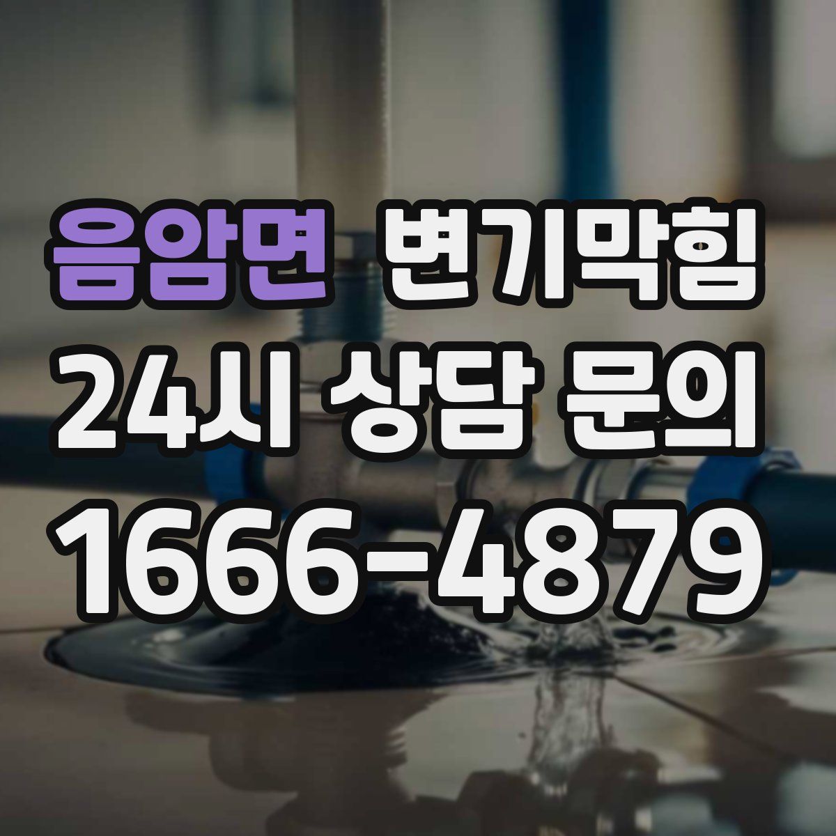 음암면 변기막힘