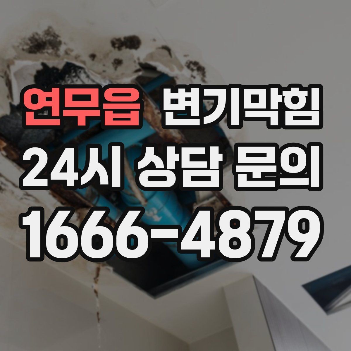 연무읍 변기막힘 단독 화장실역류 배출 각도 수정