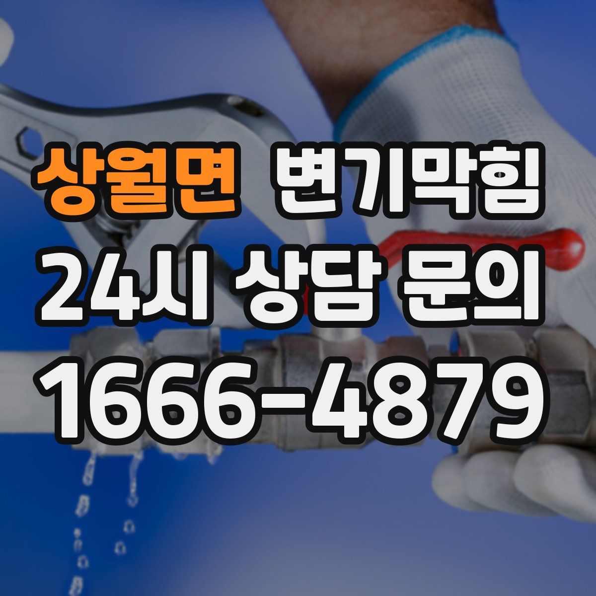 상월면 변기막힘