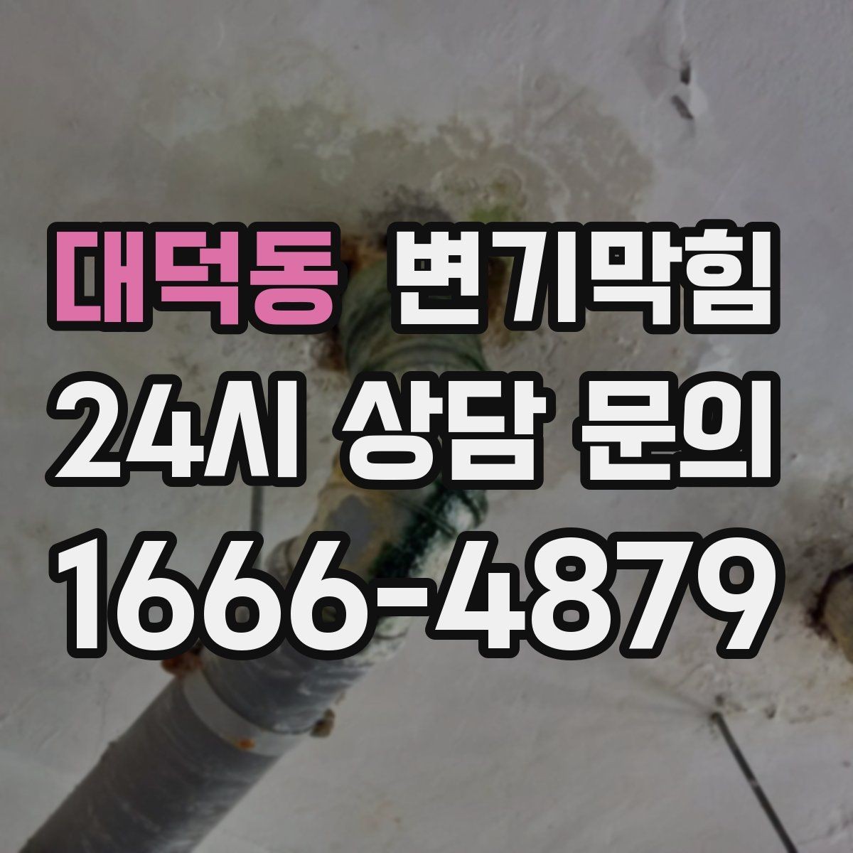 대덕동 변기막힘 카페 변기뚫기 고객 대기 최소