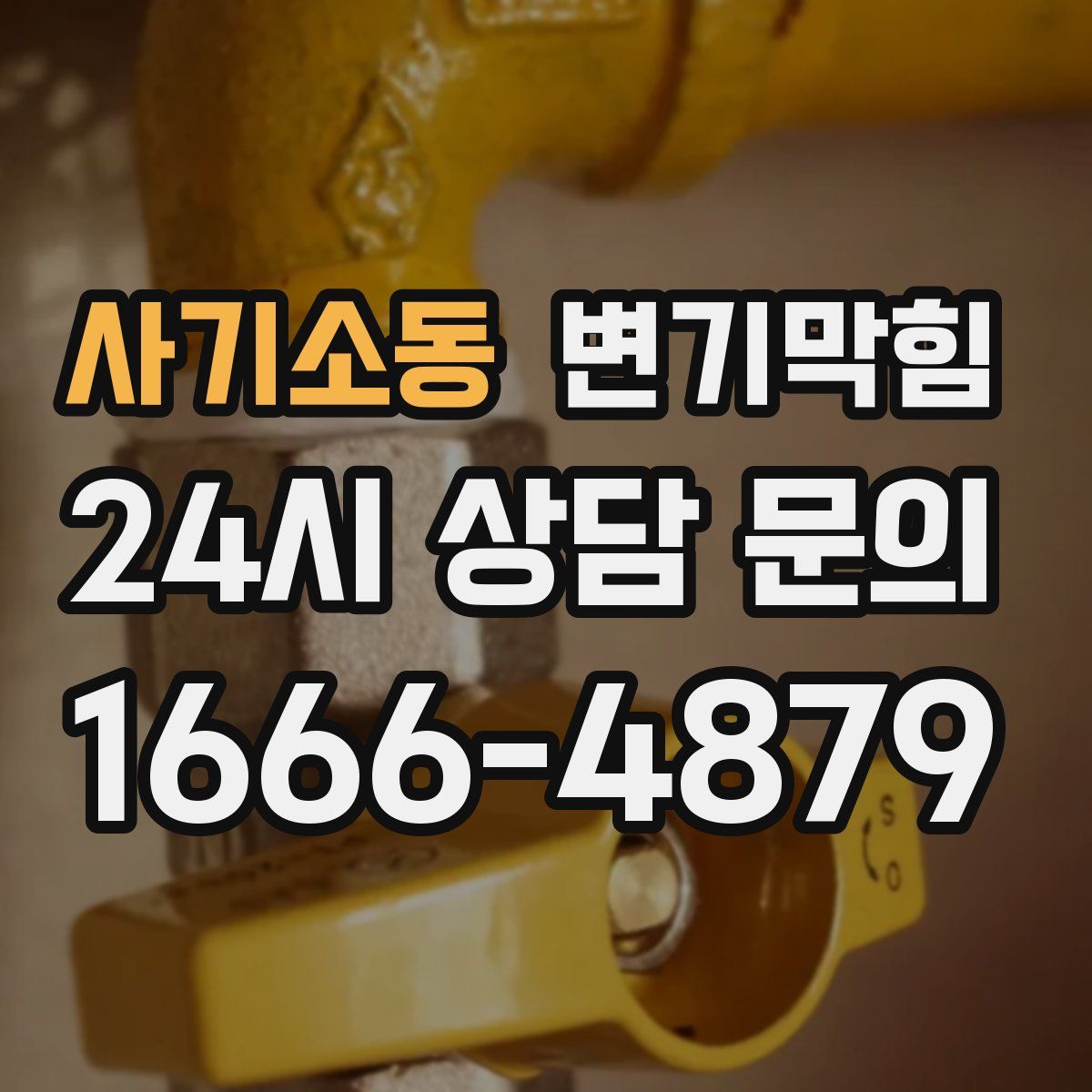 사기소동 변기막힘