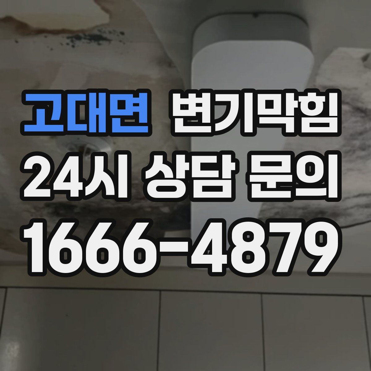 고대면 변기막힘