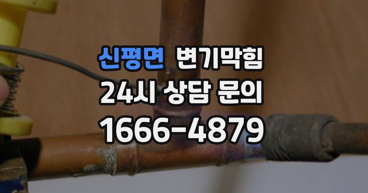 신평면 변기