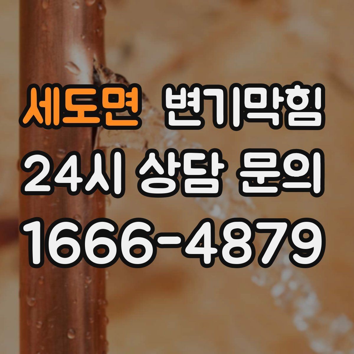 세도면 변기막힘 변기 막혔을 때 냄새만 날 때의 해석
