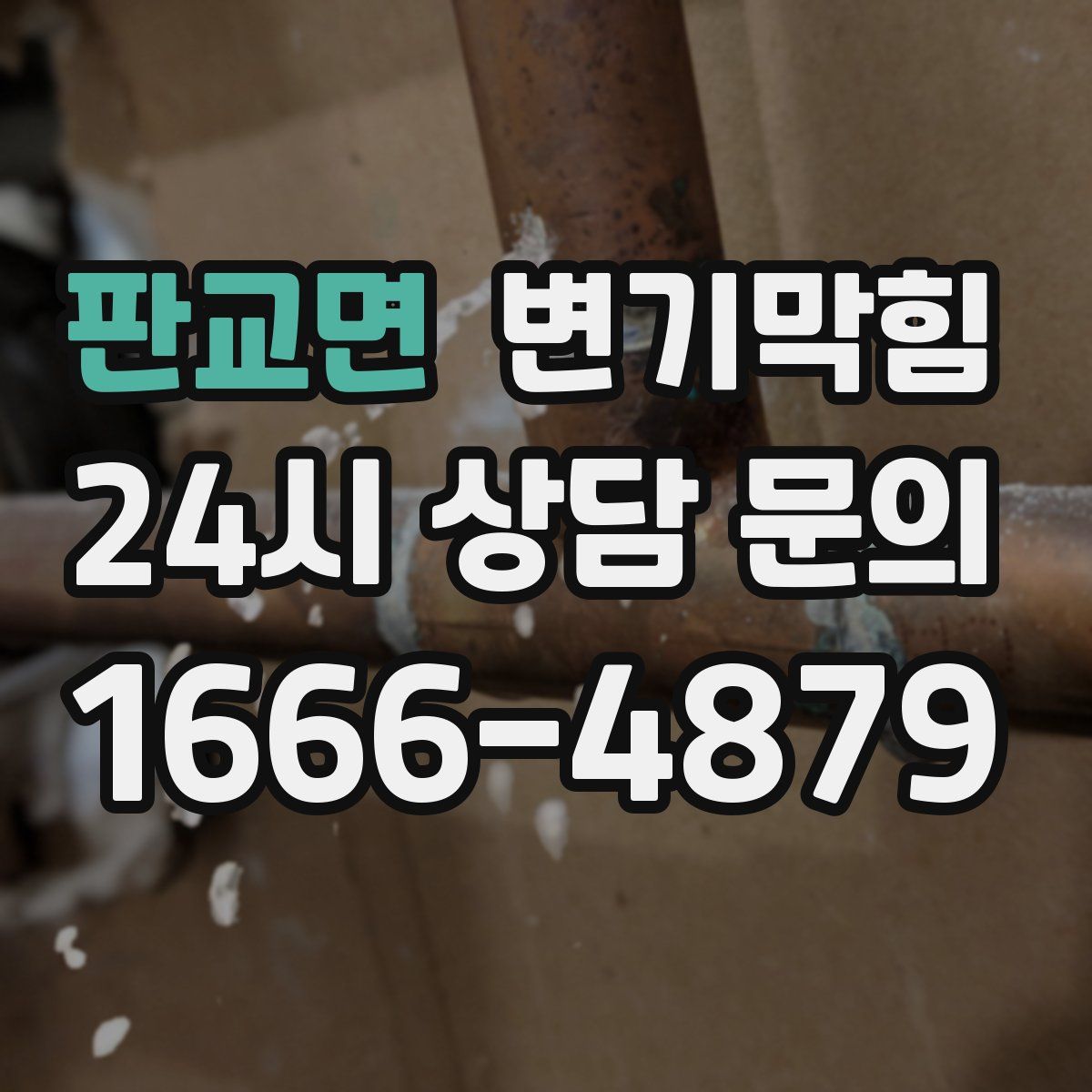 판교면 변기막힘