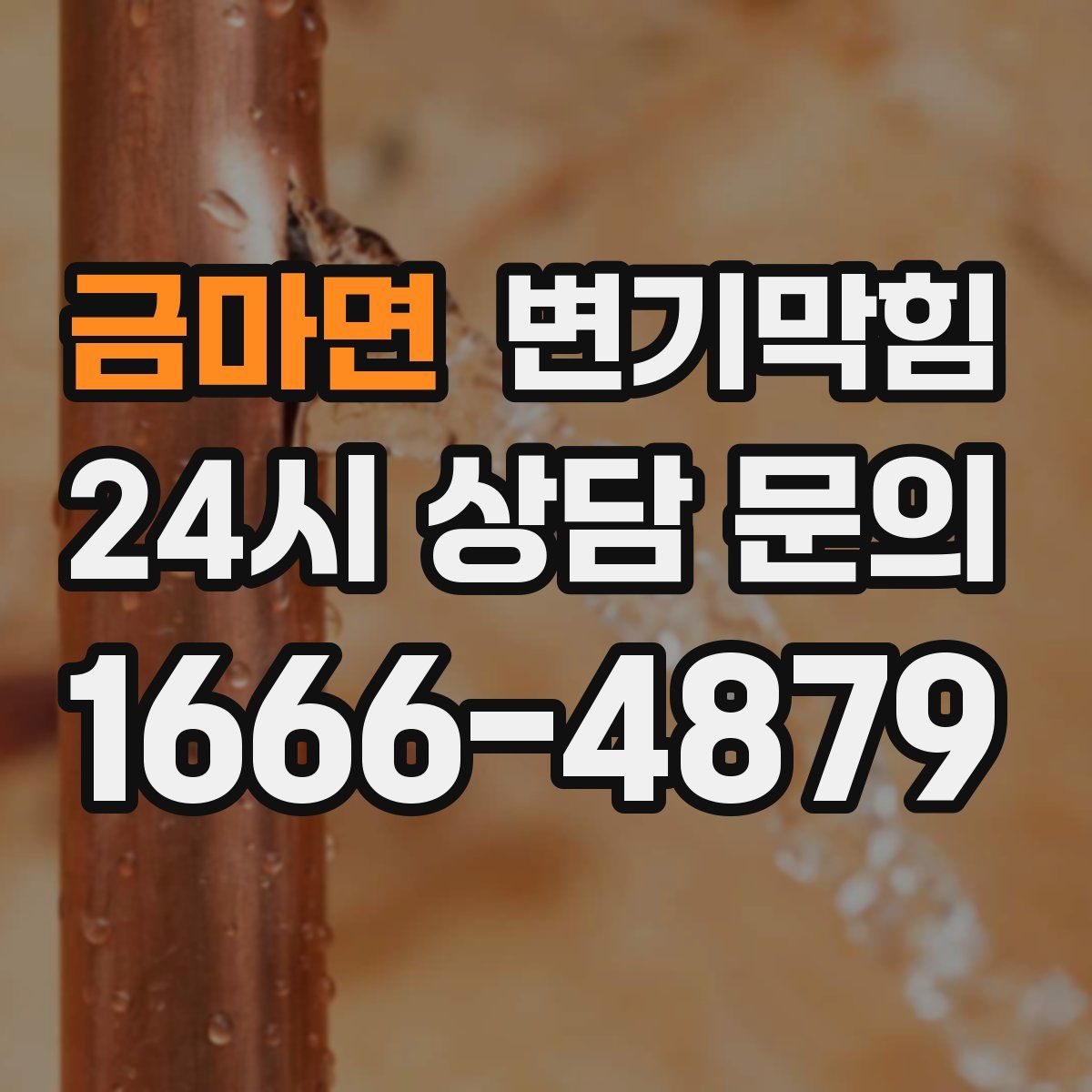 금마면 변기막힘