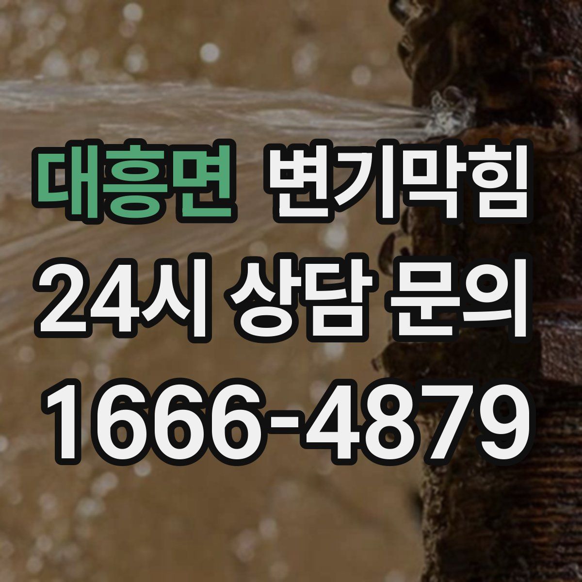 대흥면 변기막힘