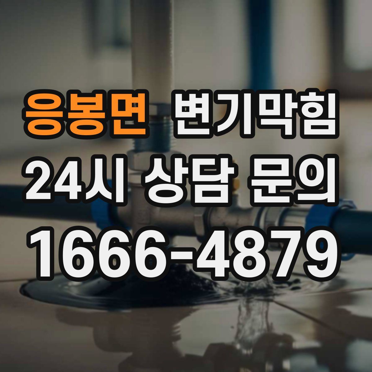 응봉면 변기막힘